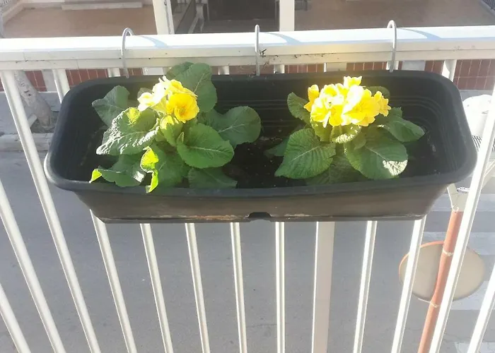 Fantastic, 100 Meters From The * كان بيكافورت