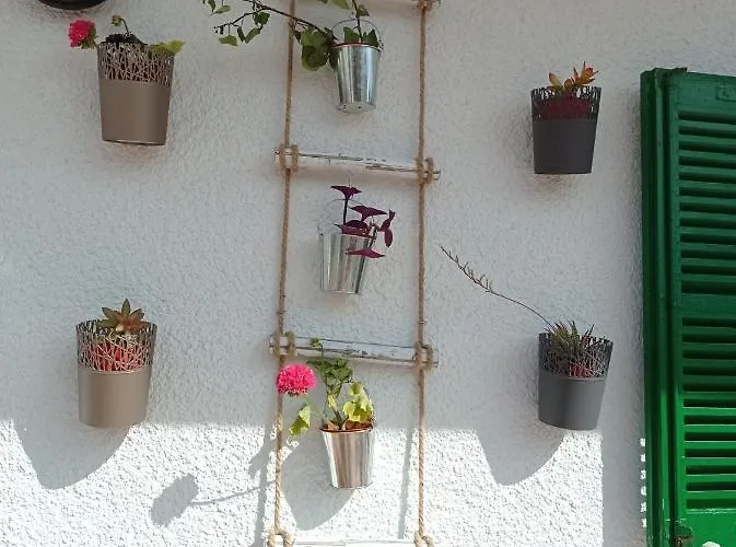 Fantastic, 100 Meters From The Apartment