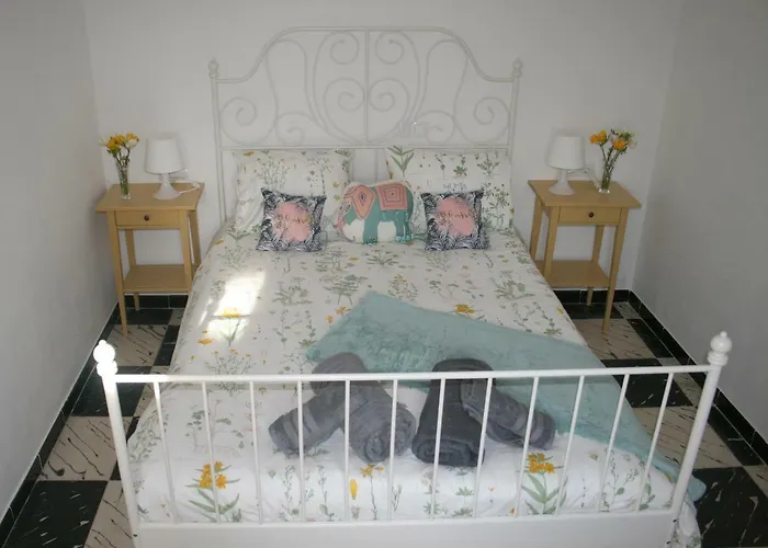 Fantastic, 100 Meters From The Can Picafort (Mallorca)